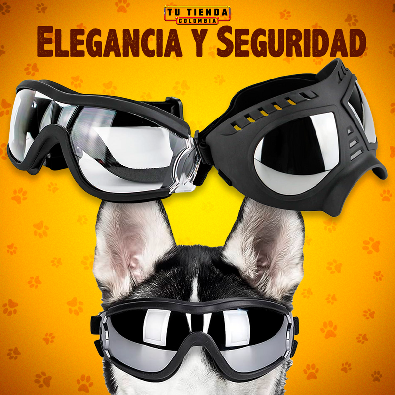 Gafas para Perros