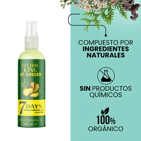 COMPRA 1 LLEVA 2 EELOHE King Of Ginger® 7 Days  Tratamiento Capilar Contra Caida(x2)