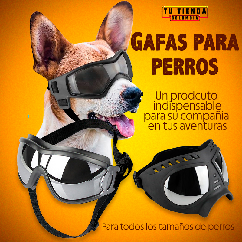 Gafas para Perros